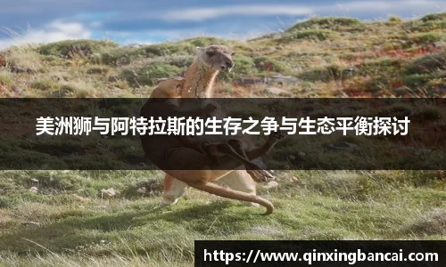 美洲狮与阿特拉斯的生存之争与生态平衡探讨